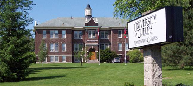 圭爾夫大學(xué)論文降重技巧有哪些