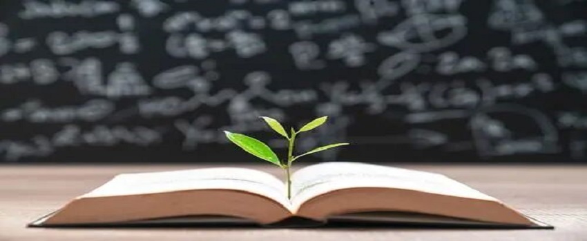 英文論文寫作如何準(zhǔn)確表達(dá)自己的中心思想？