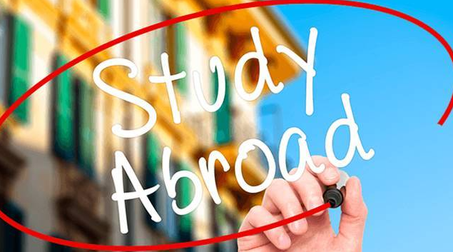 作業(yè)輔導(dǎo)