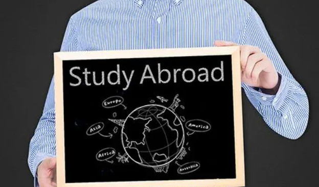 畢業(yè)論文輔導(dǎo)