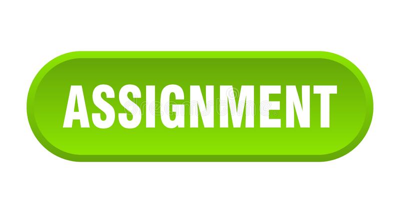 英文assignment