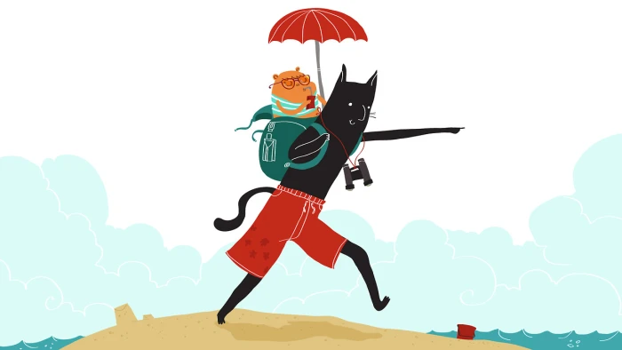 如何控制Essay的篇幅？