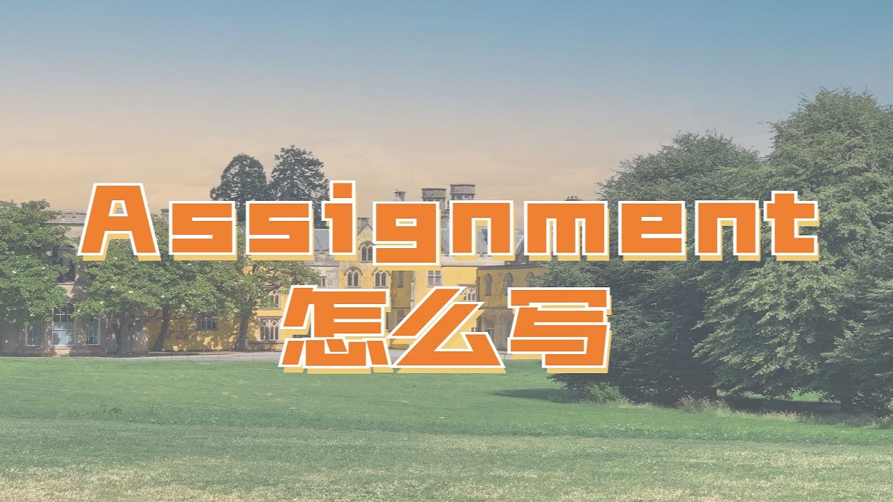 Assignment寫作