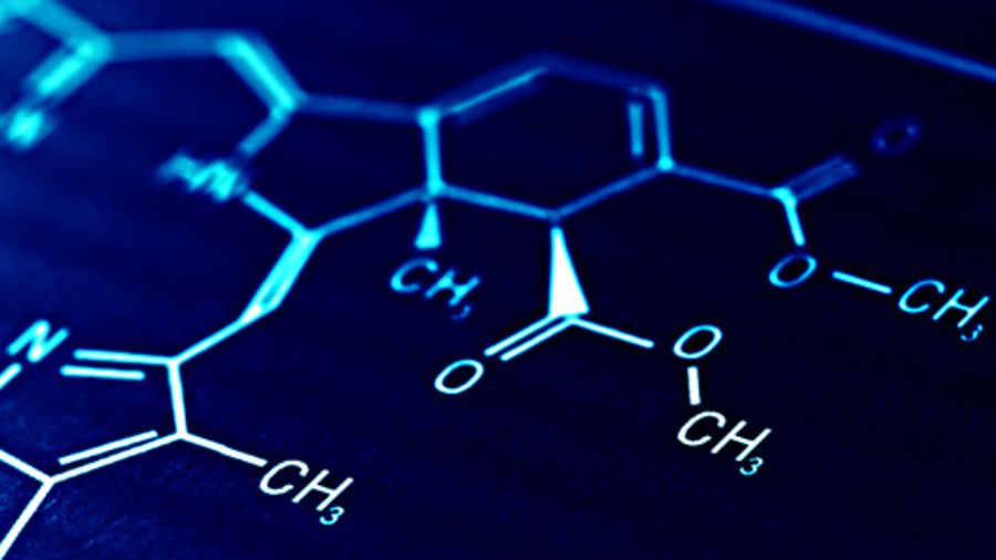 留學(xué)生作業(yè)輔導(dǎo)