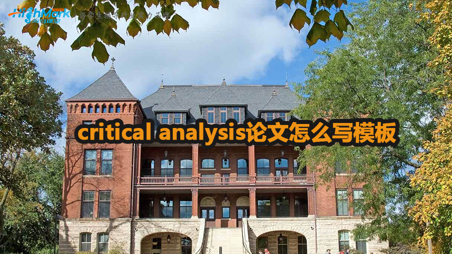 critical analysis論文怎么寫