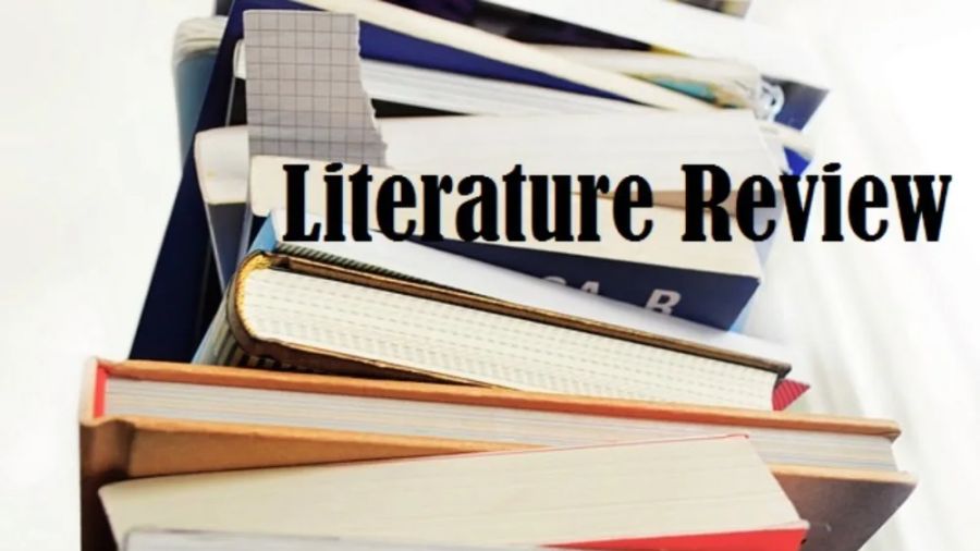 literature review怎么寫