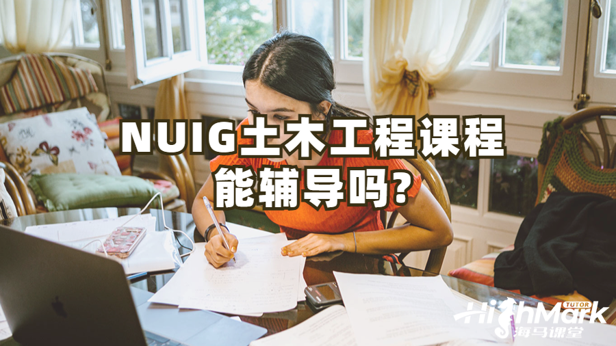NUIG土木工程課程能輔導嗎?