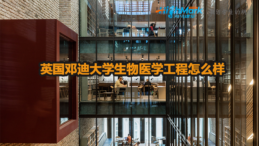 英國鄧迪大學(xué)生物醫(yī)學(xué)工程怎么樣