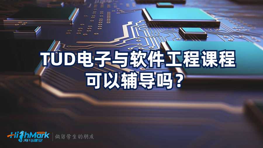 TUD電子與軟件工程課程可以輔導(dǎo)嗎？