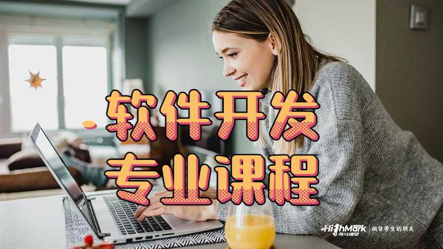 軟件開發(fā)專業(yè)課程