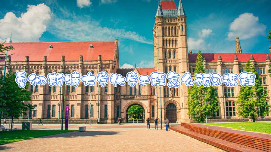 曼徹斯特大學(xué)化學(xué)工程怎么預(yù)習(xí)課程