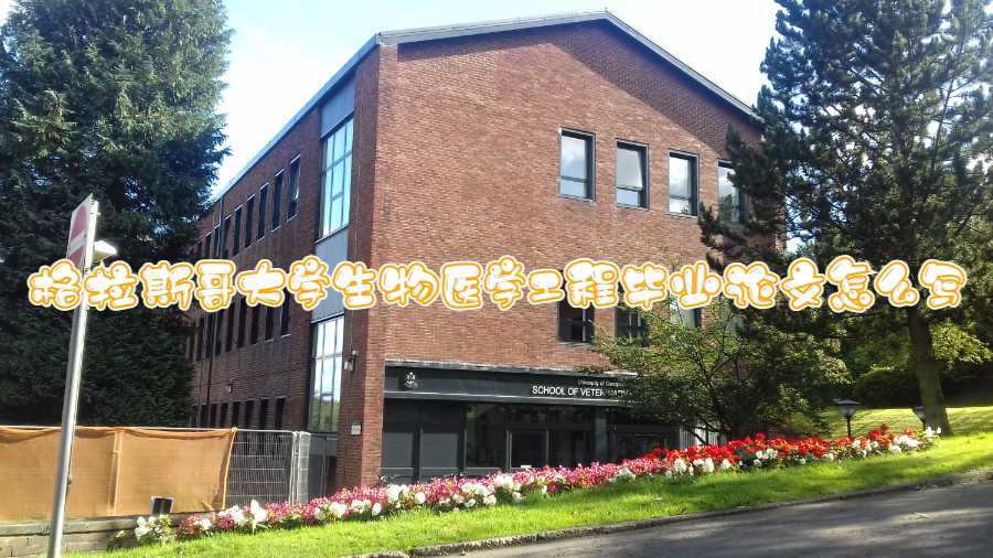 格拉斯哥大學(xué)生物醫(yī)學(xué)工程畢業(yè)論文怎么寫