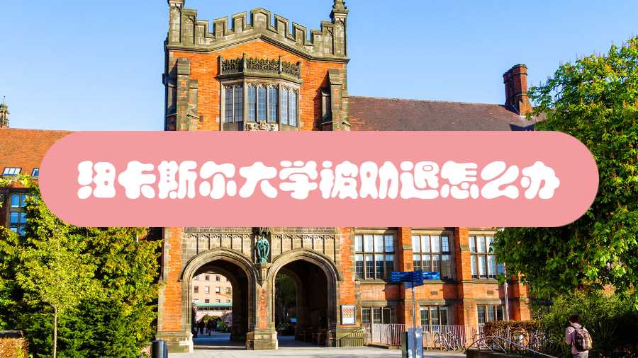 紐卡斯?fàn)柎髮W(xué)被勸退怎么辦