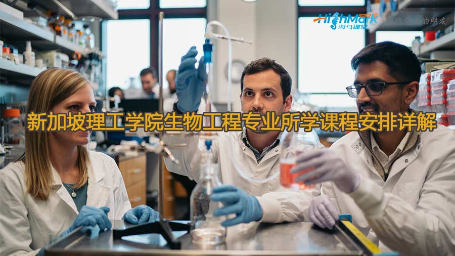 新加坡理工學院生物工程專業(yè)所學課程安排詳解
