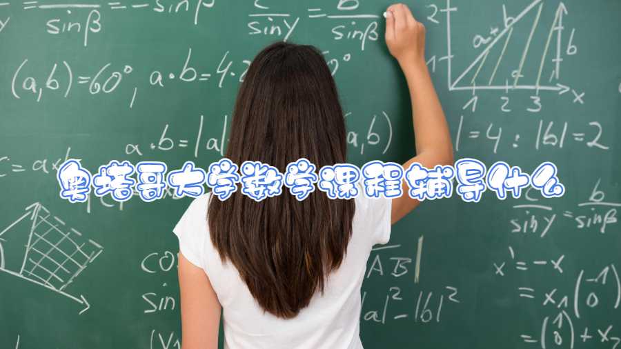 奧塔哥大學數(shù)學課程輔導什么