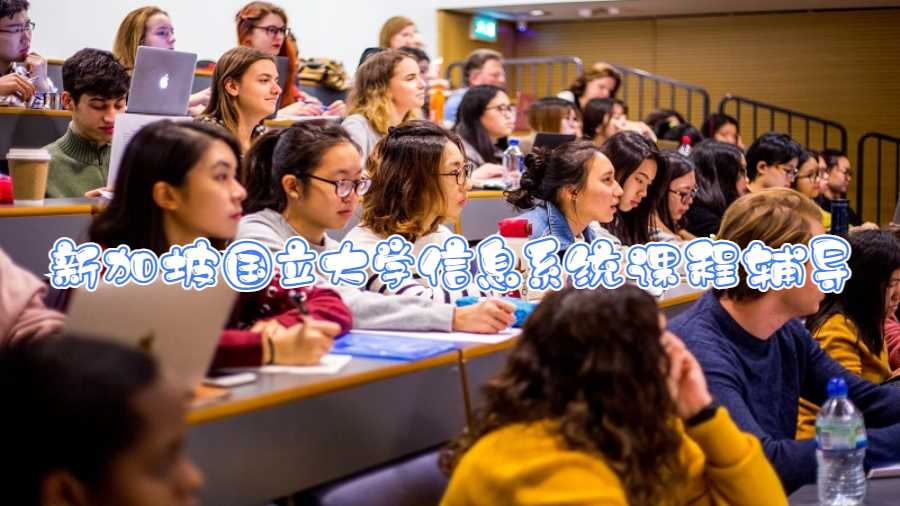 新加坡國立大學(xué)信息系統(tǒng)課程輔導(dǎo)