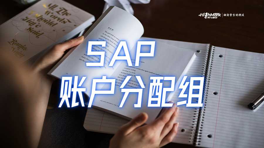 如何在 SAP 中維護賬戶分配組
