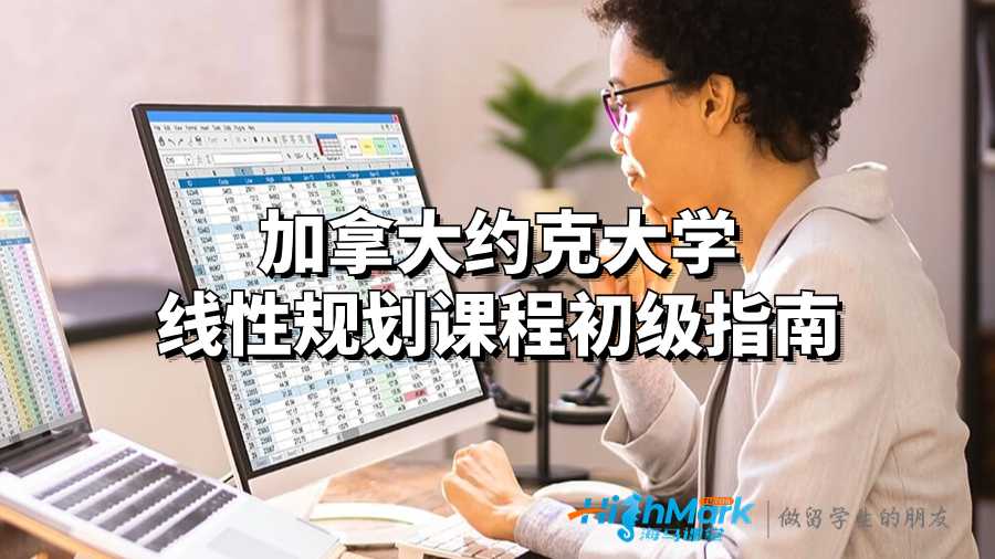 加拿大約克大學線性規(guī)劃課程初級指南