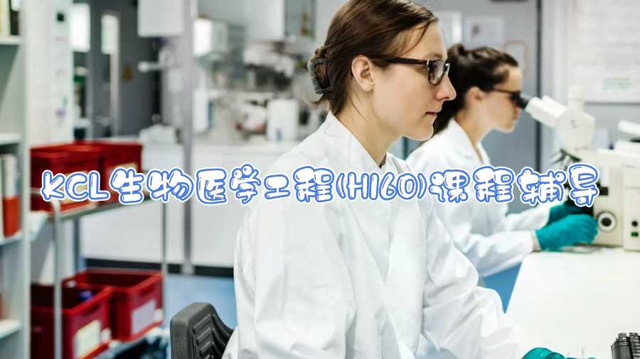 KCL生物醫(yī)學工程(H160)課程輔導什么