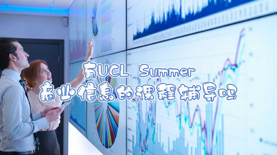 有UCL Summer商業(yè)信息的課程輔導(dǎo)嗎