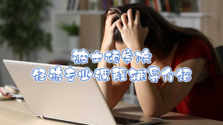 波士頓學院經(jīng)濟專業(yè)課程輔導介紹
