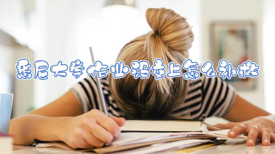 悉尼大學(xué)作業(yè)沒交上怎么補救