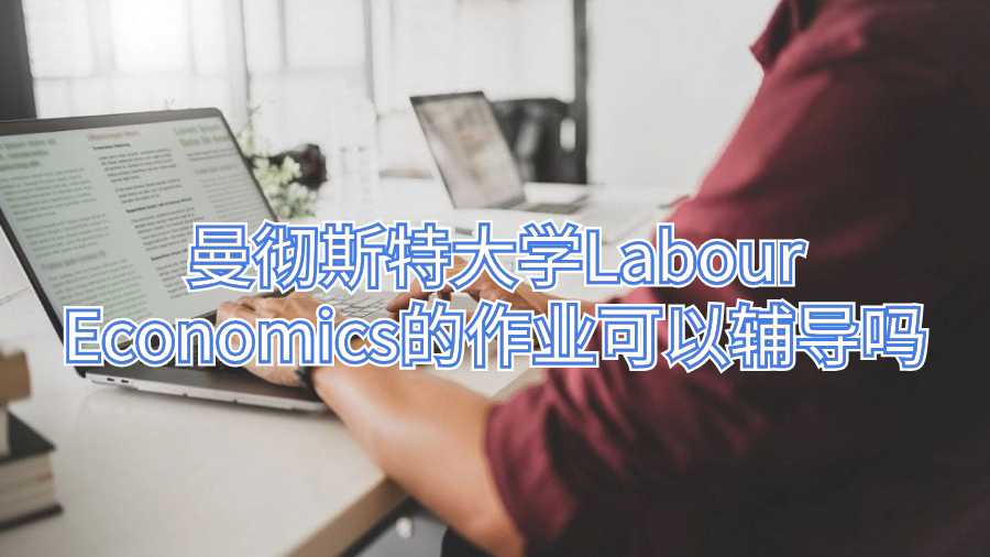 曼徹斯特大學(xué)Labour Economics的作業(yè)可以輔導(dǎo)嗎