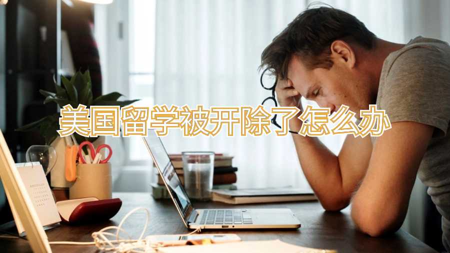 美國留學(xué)被開除了怎么辦