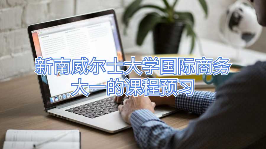 新南威爾士大學(xué)國(guó)際商務(wù)大一的課程預(yù)習(xí)