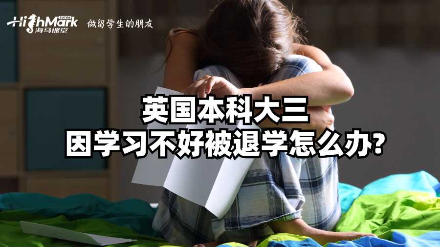英國本科大三因學習不好被退學怎么辦?