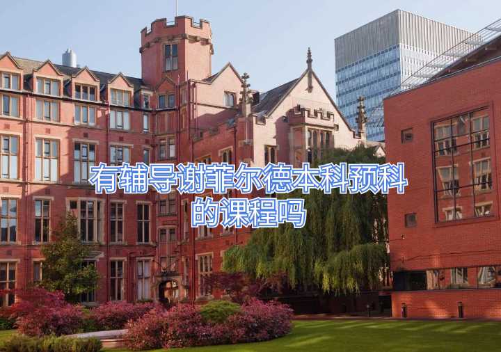 有輔導(dǎo)謝菲爾德本科預(yù)科的課程嗎