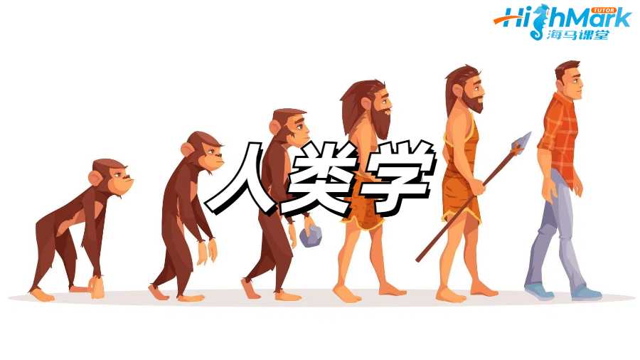 人類學(xué)課程輔導(dǎo)