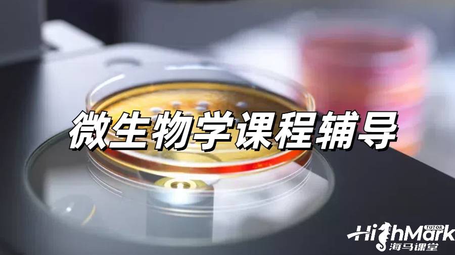 留學(xué)生課程輔導(dǎo)