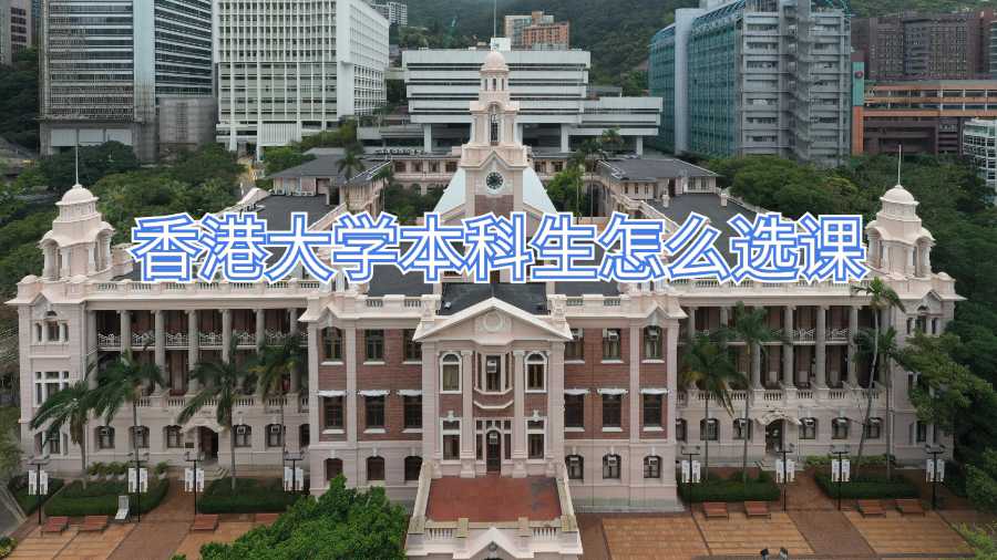 香港大學(xué)本科生怎么選課