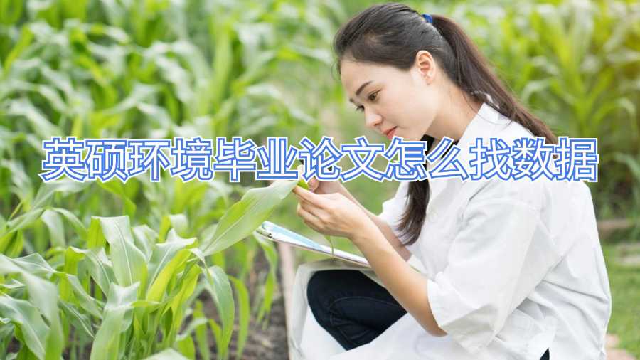 英碩環(huán)境畢業(yè)論文怎么找數(shù)據(jù)