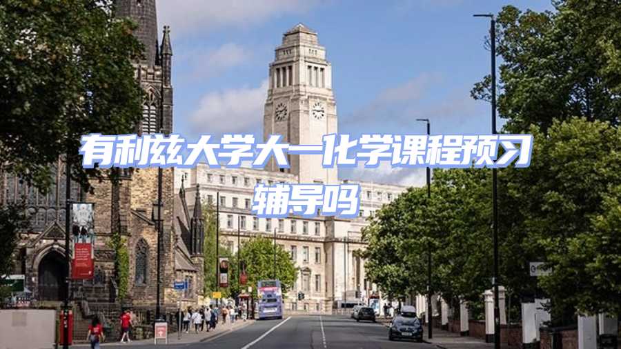 利茲大學課程預習輔導