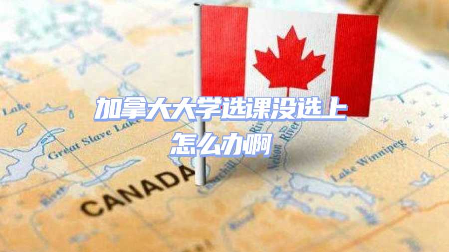 加拿大大學(xué)選課沒選上怎么辦啊