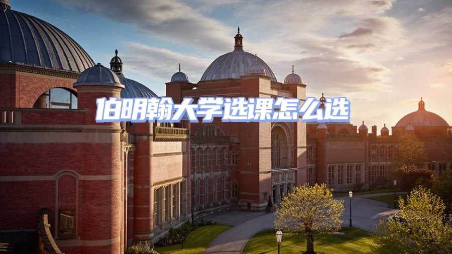 伯明翰大學選課輔導