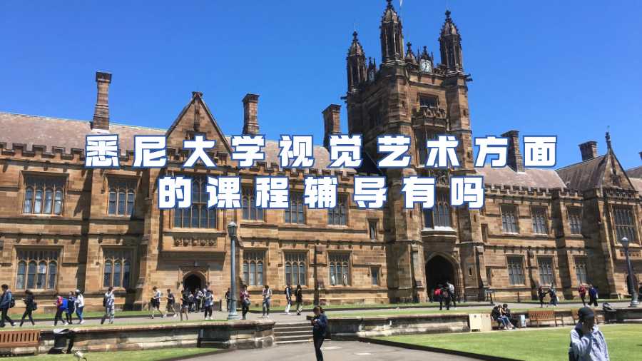 悉尼大學視覺藝術方面的課程輔導有嗎