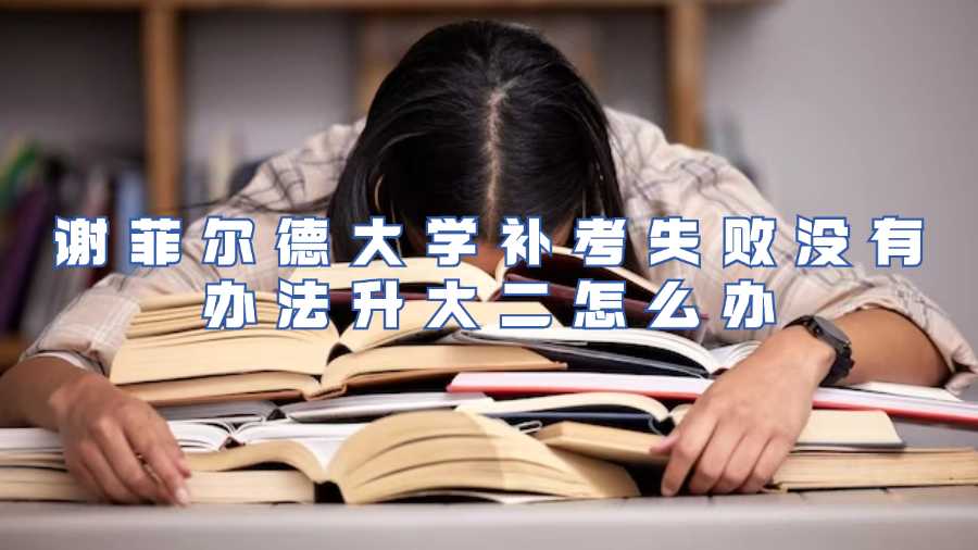 謝菲爾德大學(xué)補(bǔ)考失敗沒有辦法升大二怎么辦