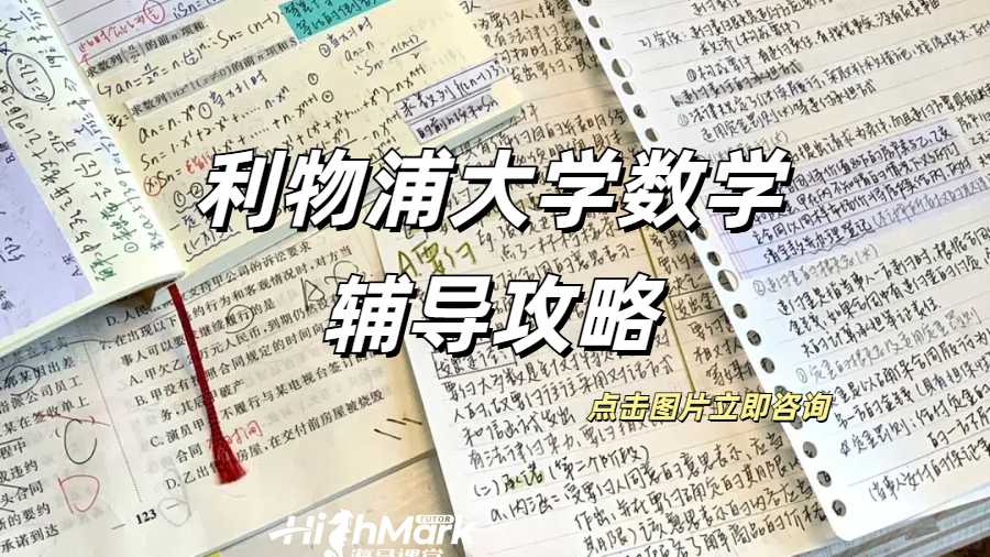 留學(xué)生課程輔導(dǎo)