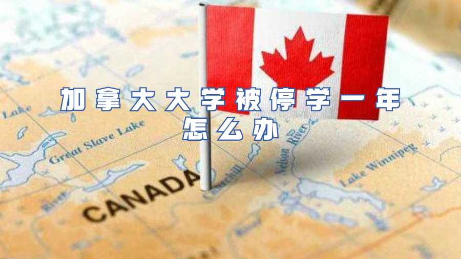 加拿大大學(xué)被停學(xué)一年怎么辦