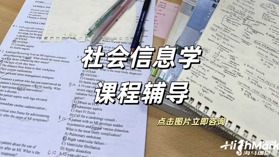 社會信息學課程輔導(dǎo)
