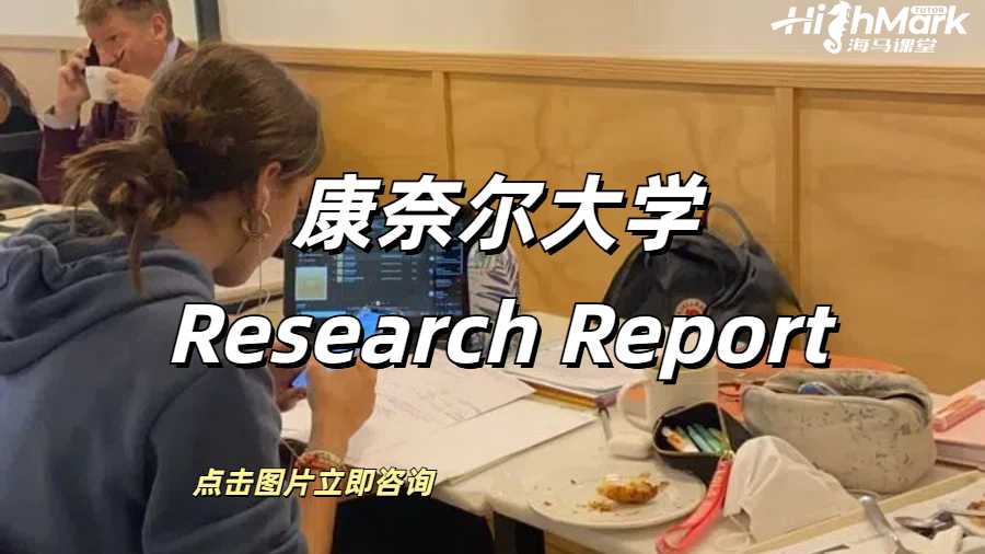 康奈爾大學(xué)research report