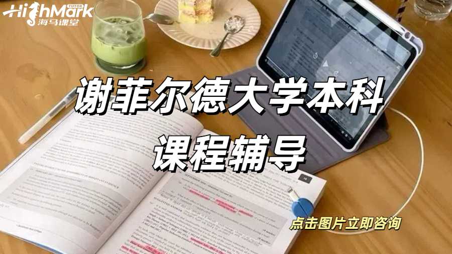 謝菲爾德大學(xué)本科課程輔導(dǎo)