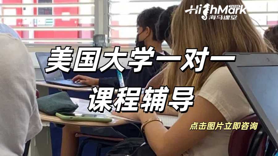 美國(guó)大學(xué)一對(duì)一課程輔導(dǎo)