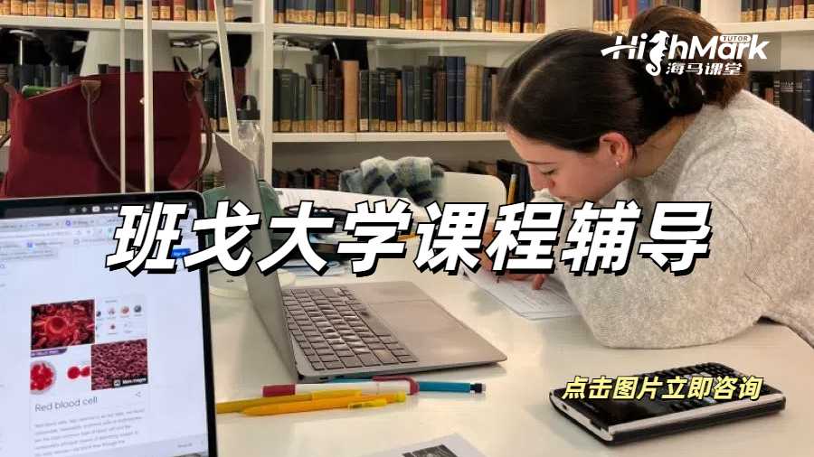 班戈大學課程輔導&期末沖刺提分輔導