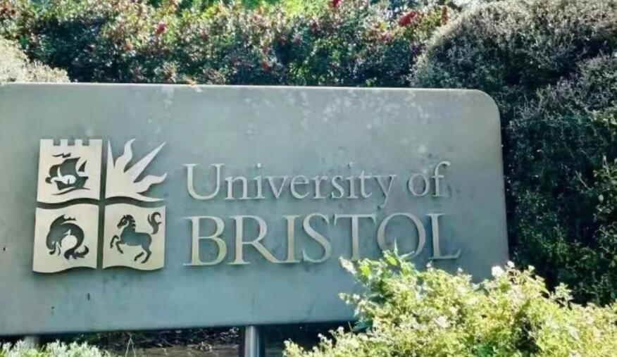 布里斯托大學(xué)被勸退怎么辦