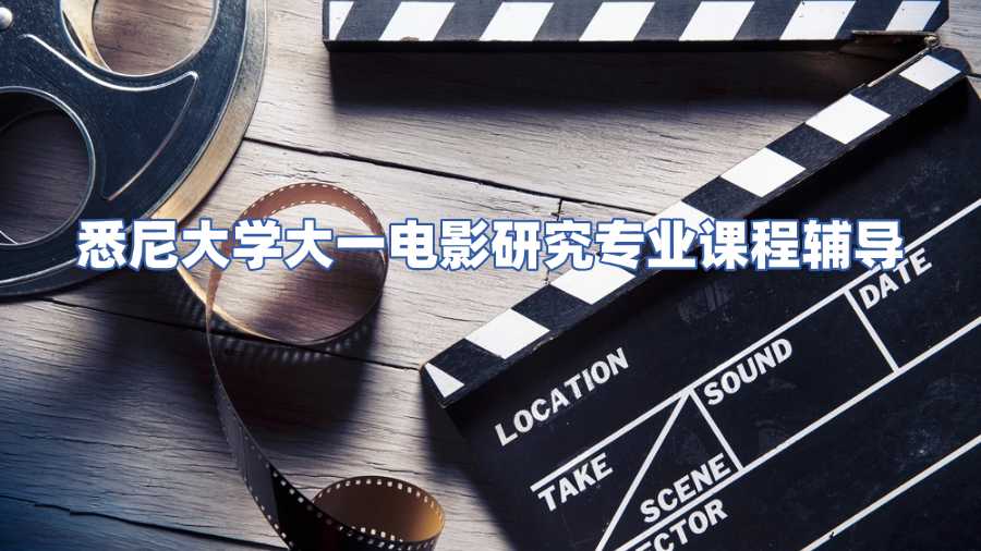 悉尼大學(xué)課程輔導(dǎo)