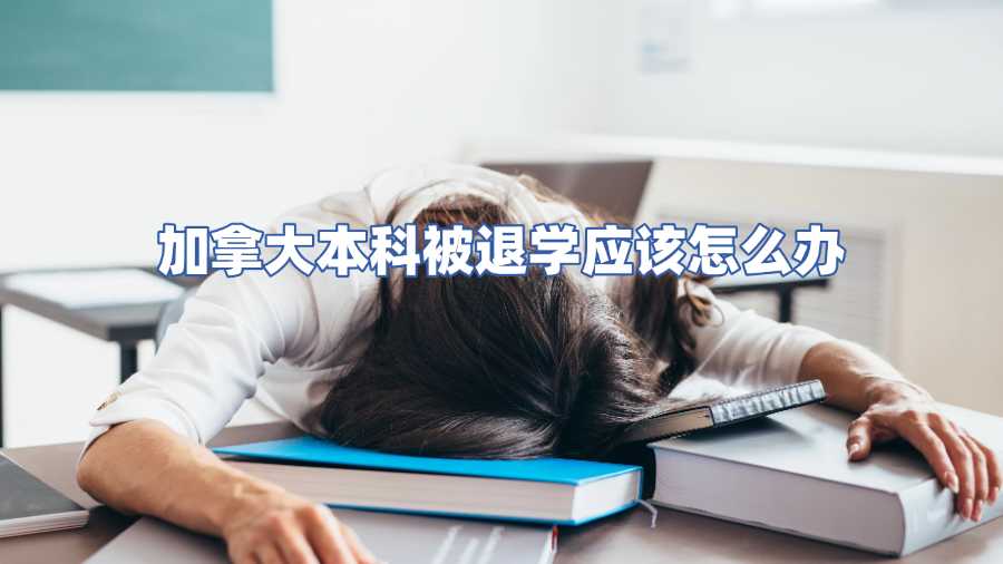 加拿大本科被退學(xué)應(yīng)該怎么辦